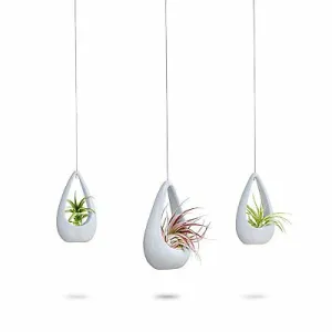 3 Hanging White Ceramic Planters