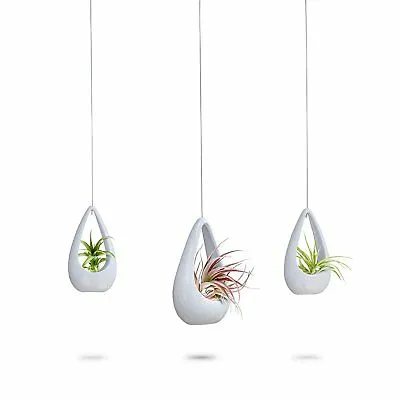 3 Hanging White Ceramic Planters
