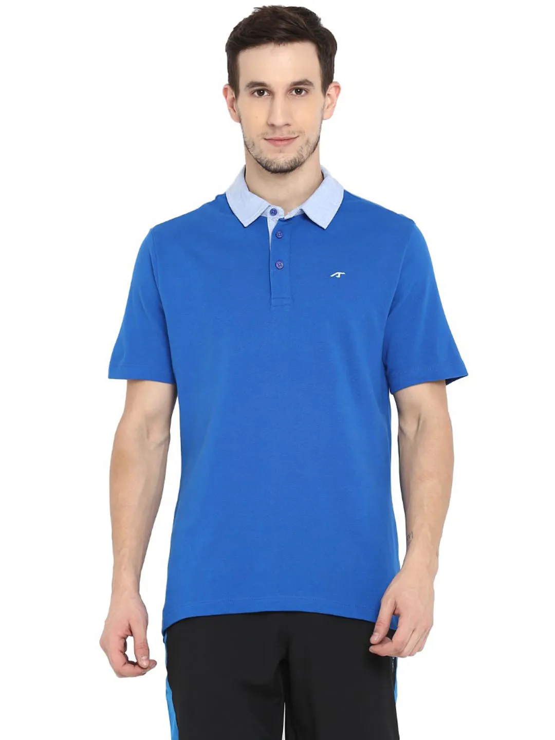 Alcis Men Solid Blue Polo ECMPO02014