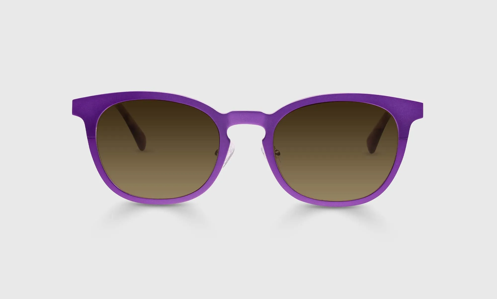 Alloy Ally Sunglasses