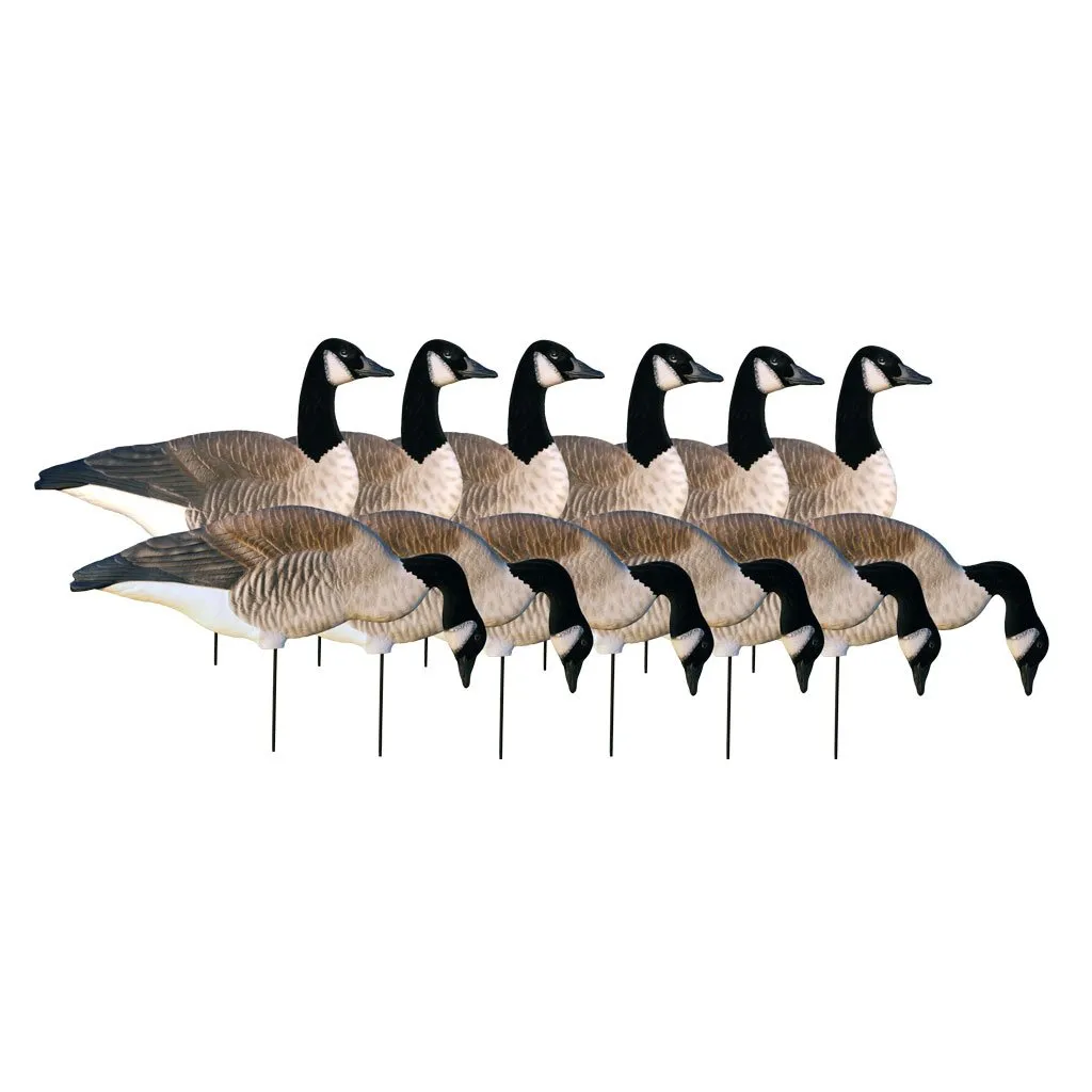 Avery Outdoors Greenhead Gear GHG Pro Grade Canada Goose Silhouette Decoys 1 Doz