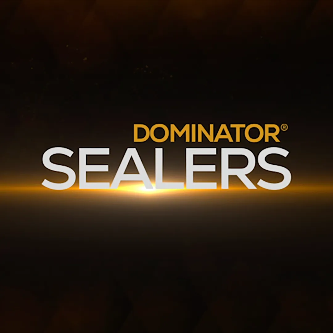 DOMINATOR STONE  GLOSS - Wet Look Satin Finish Stone Sealer and Clay Brick Sealer