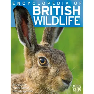Encyclopedia of British Wildlife – Identification Guide for Kids