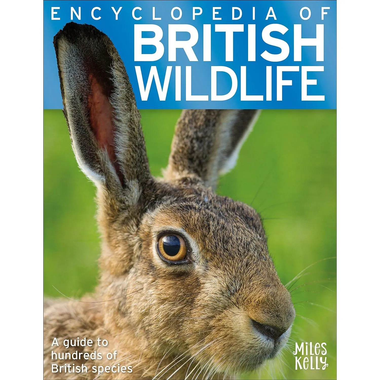 Encyclopedia of British Wildlife – Identification Guide for Kids