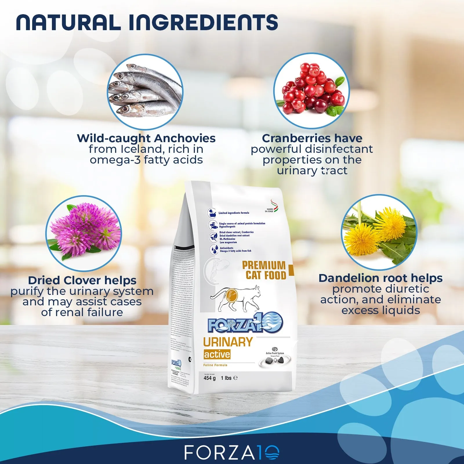Forza 10 Active Urinary 4lb Cat Food