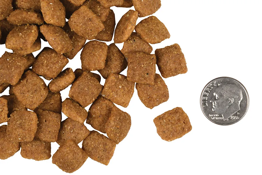 Fromm Gold Adult Dog Food