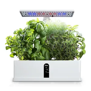 Garden Kit Smart Water Flower Pot