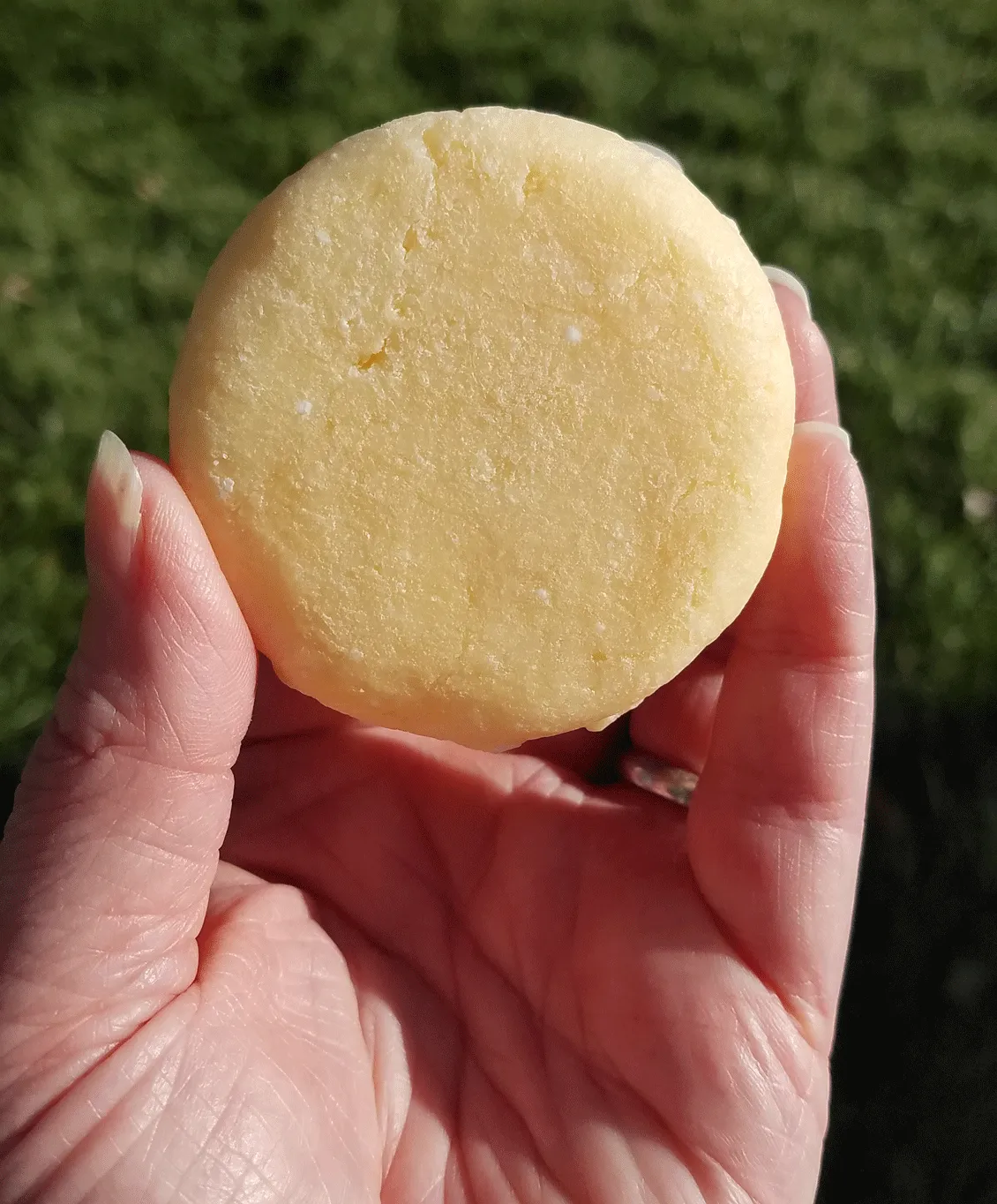 Hydrate 2N1 Shampoo Bar