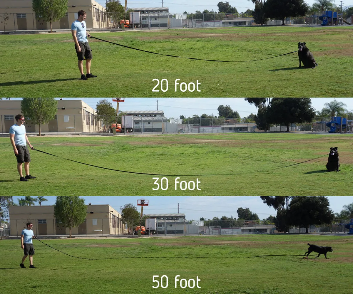 Long Trainer - 30 Foot - 1 Inch Nylon Long Dog Training Leash with Storage Strap