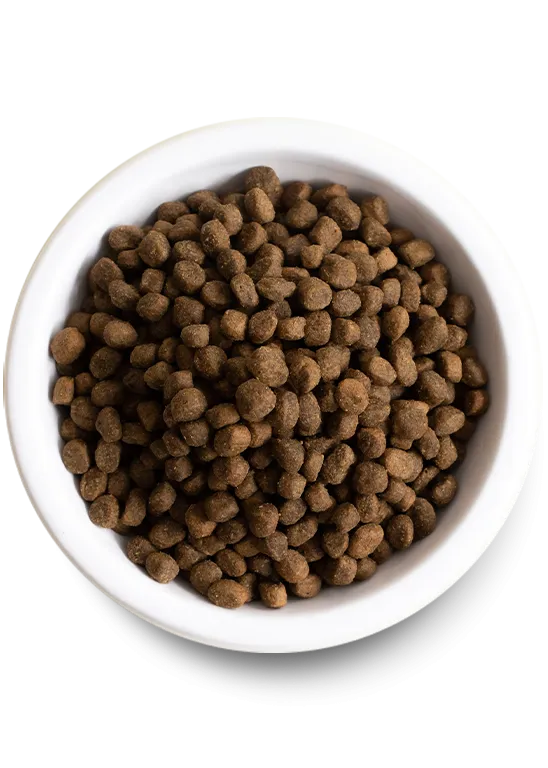 Open Farm Grass-Fed Beef & Ancient Grains Dry Dog Food