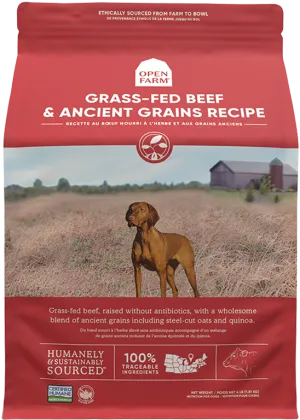Open Farm Grass-Fed Beef & Ancient Grains Dry Dog Food