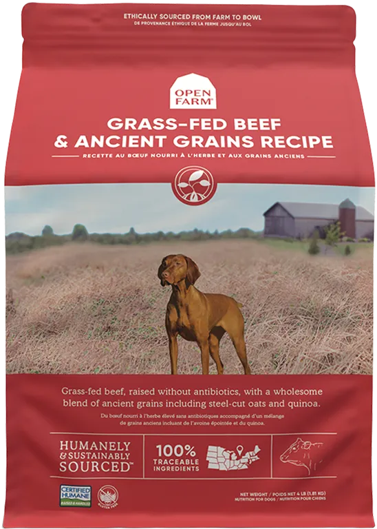 Open Farm Grass-Fed Beef & Ancient Grains Dry Dog Food