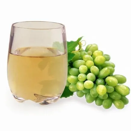 Strahl Engraved Acrylic Wine Glass- Stemless