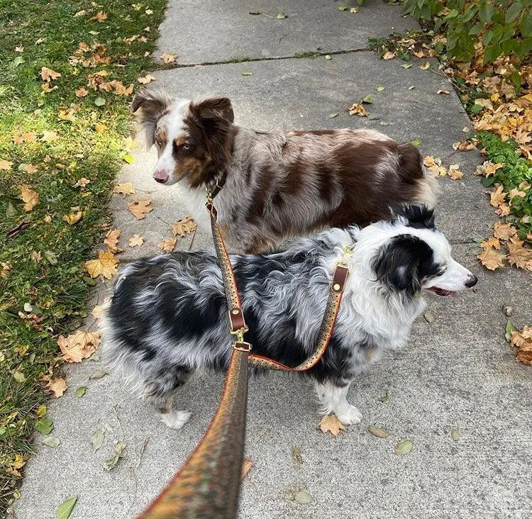 The Whiskey Double Dog Leash