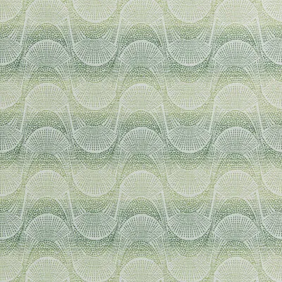Tofino-Clover