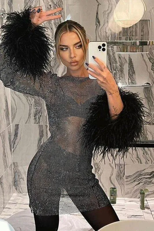 Transparent Mesh Long Sleeve Dress