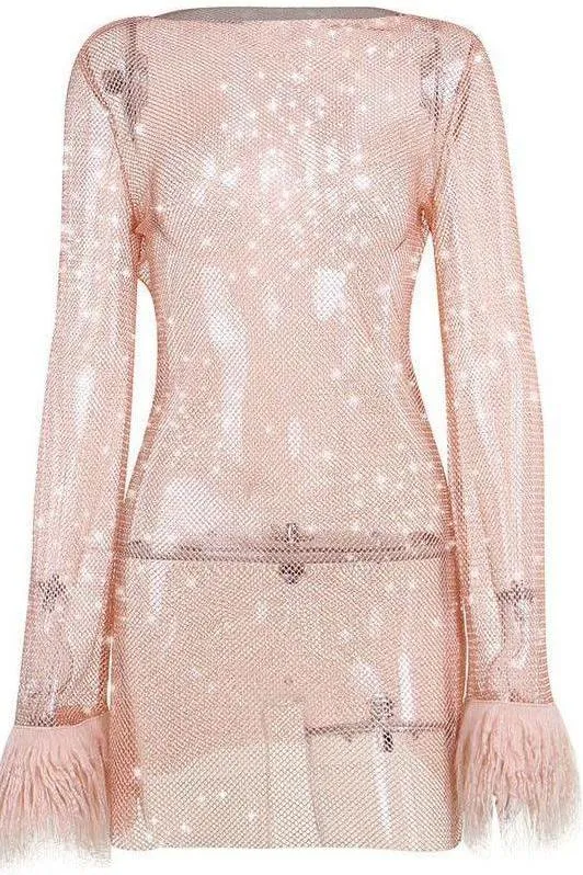 Transparent Mesh Long Sleeve Dress
