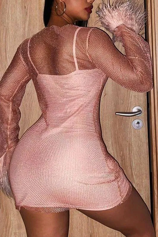 Transparent Mesh Long Sleeve Dress