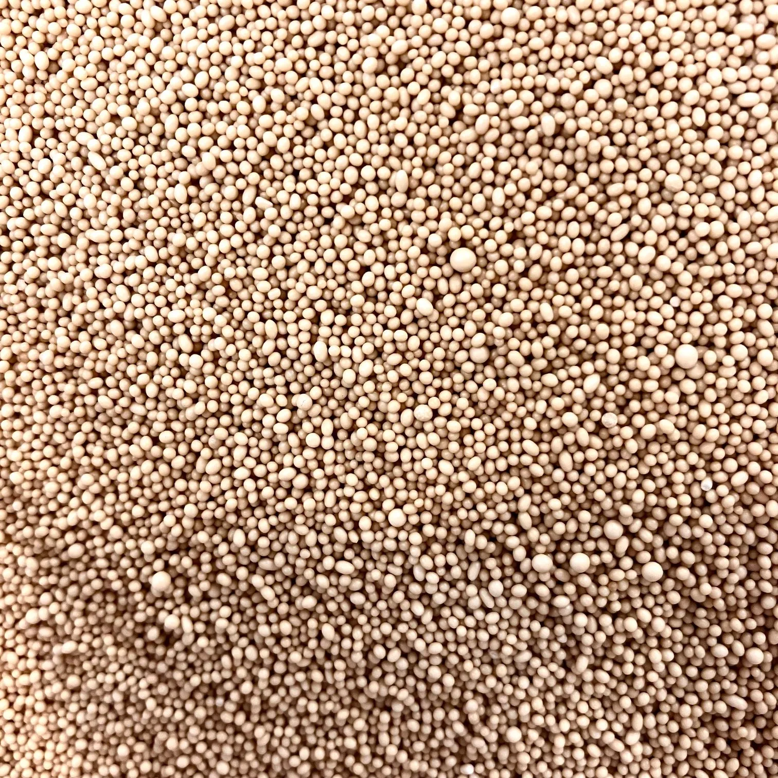 Yeast Active Dry