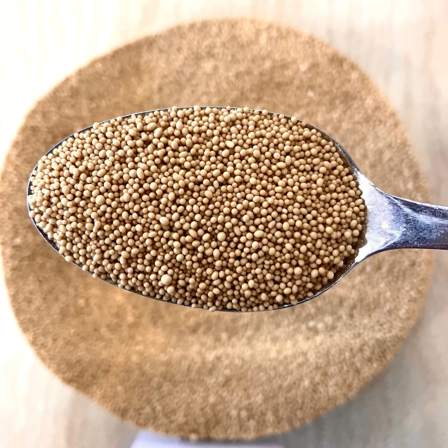 Yeast Active Dry