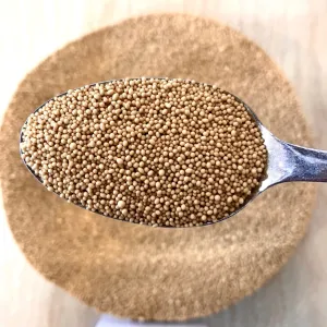 Yeast Active Dry