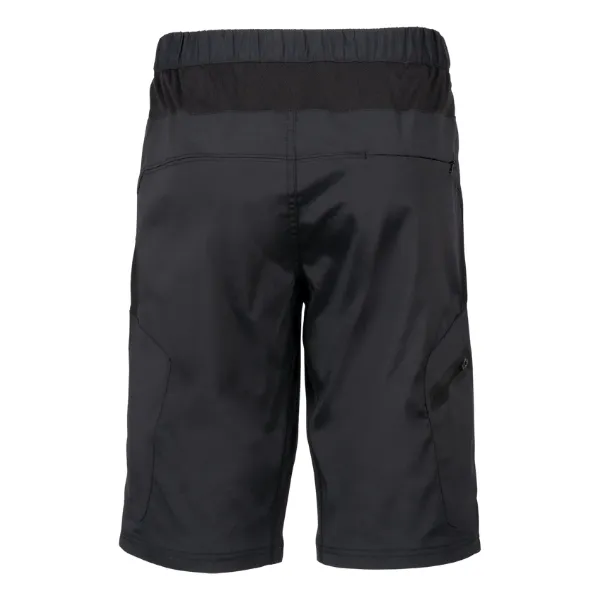 Zoic Ether 12in Shorts